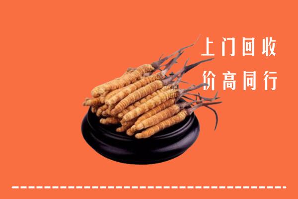 高价求购：乐清市回收散虫草