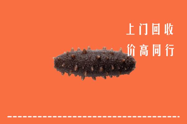 高价求购：乐清市回收海参