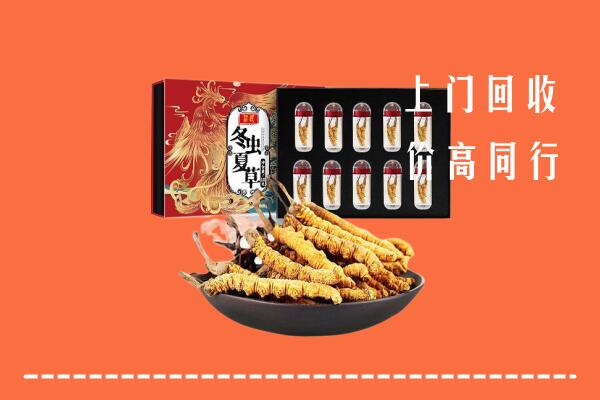 乐清市回收虫草